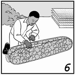 Sausage 6